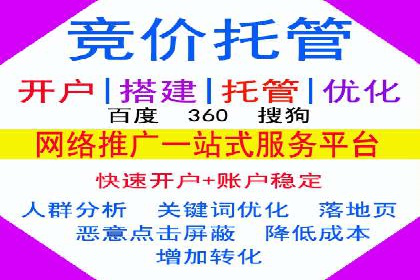 谷歌SEM广告投放的ROI优化：一家科技公司的成功经验